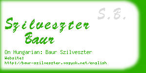 szilveszter baur business card